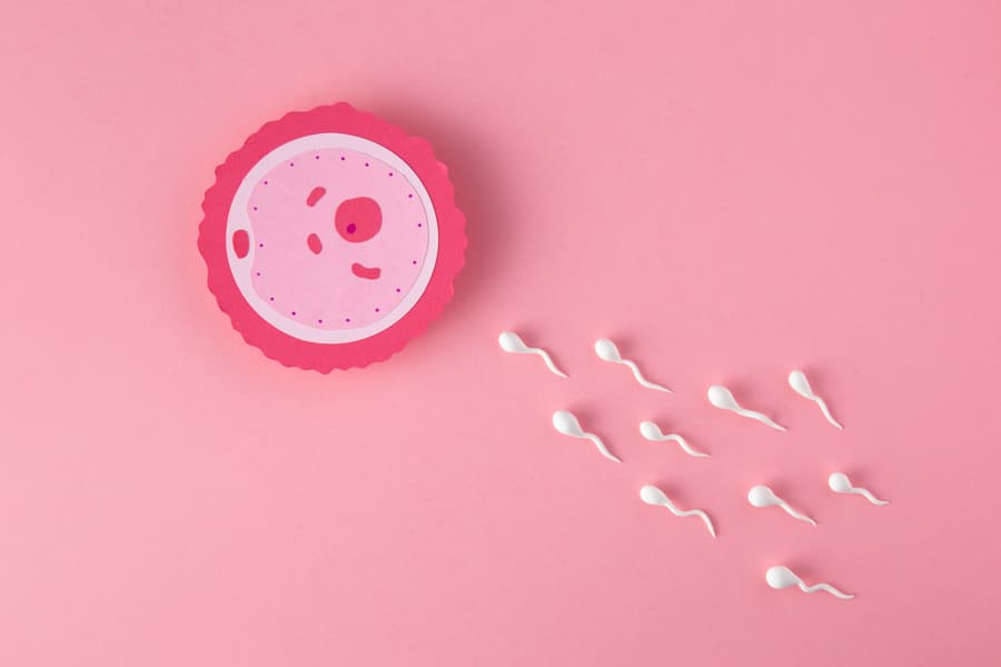 Concepto Fertilidad Fondo Rosa