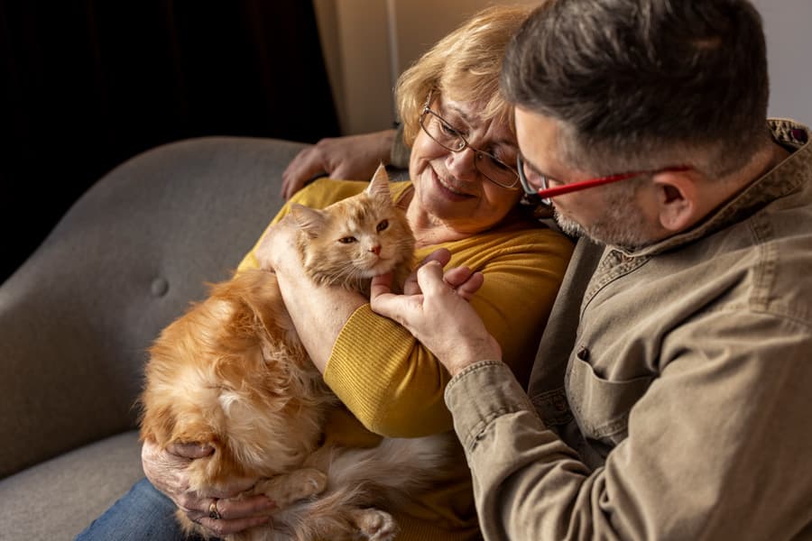 Pareja Con Gato